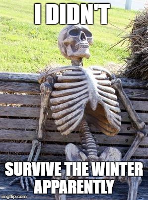Waiting Skeleton | I DIDN'T; SURVIVE THE WINTER APPARENTLY | image tagged in memes,waiting skeleton | made w/ Imgflip meme maker