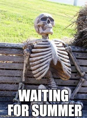 Waiting Skeleton | WAITING FOR SUMMER | image tagged in memes,waiting skeleton | made w/ Imgflip meme maker