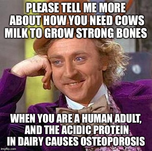 Woke Wonka | PLEASE TELL ME MORE ABOUT HOW YOU NEED COWS MILK TO GROW STRONG BONES; WHEN YOU ARE A HUMAN ADULT, AND THE ACIDIC PROTEIN IN DAIRY CAUSES OSTEOPOROSIS | image tagged in memes,creepy condescending wonka,vegan4life,vegans do everthing better even fart,dairy | made w/ Imgflip meme maker