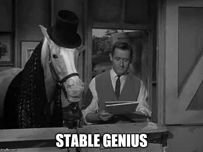 Stable Genius | STABLE GENIUS | image tagged in stable genius,trump,mr ed,mred | made w/ Imgflip meme maker