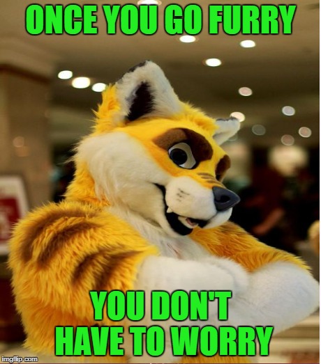 ONCE YOU GO FURRY YOU DON'T HAVE TO WORRY | made w/ Imgflip meme maker