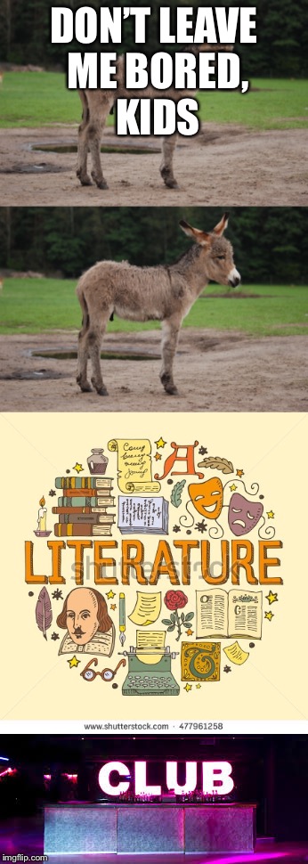 Donkey donkey literature club | DON’T LEAVE ME BORED, KIDS | image tagged in funny,doki doki literature club,animals | made w/ Imgflip meme maker