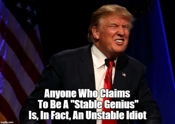 Anyone Who Claims To Be A "Stable Genius"... | Anyone Who Claims To Be A "Stable Genius"; Is, In Fact, An Unstable Idiot | image tagged in deplorable donald,despicable donald,devious donald,dunderhead donald,dishonorable donald,delusional donald | made w/ Imgflip meme maker