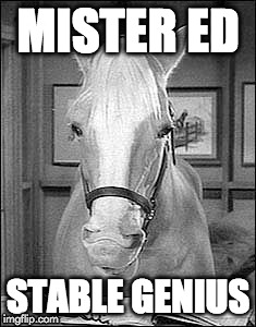 Mister Ed: The Original Stable Genius | MISTER ED; STABLE GENIUS | image tagged in mister ed telephone,stable genius | made w/ Imgflip meme maker