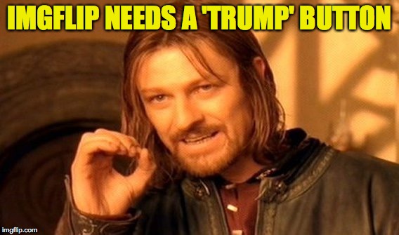 One Does Not Simply Meme | IMGFLIP NEEDS A 'TRUMP' BUTTON | image tagged in memes,one does not simply | made w/ Imgflip meme maker