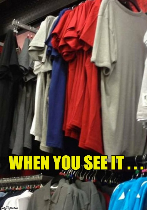 WTF? | WHEN YOU SEE IT . . . | image tagged in funny | made w/ Imgflip meme maker