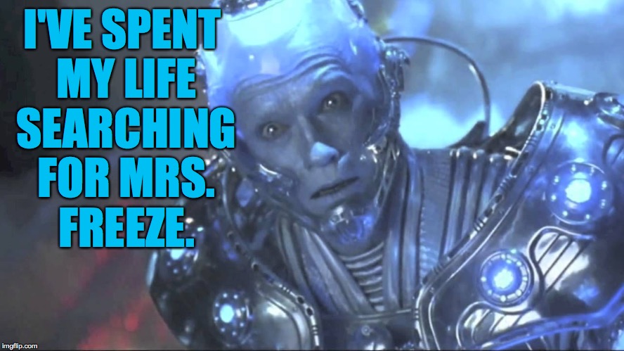 I'VE SPENT MY LIFE SEARCHING FOR MRS. FREEZE. | made w/ Imgflip meme maker