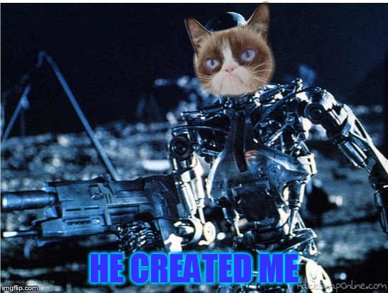 grump cat terminator | HE CREATED ME | image tagged in grump cat terminator | made w/ Imgflip meme maker