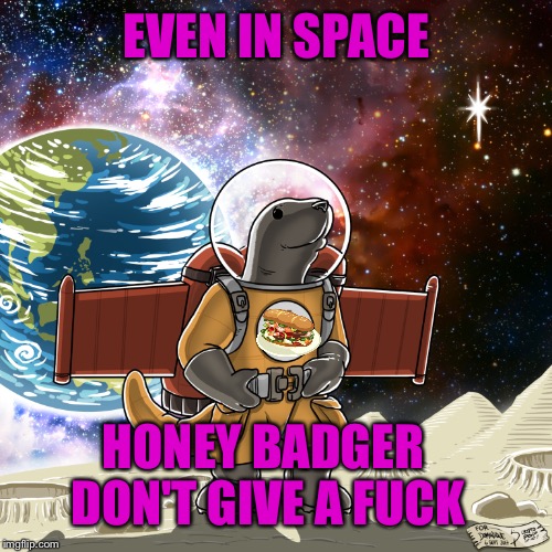EVEN IN SPACE HONEY BADGER DON'T GIVE A F**K | made w/ Imgflip meme maker
