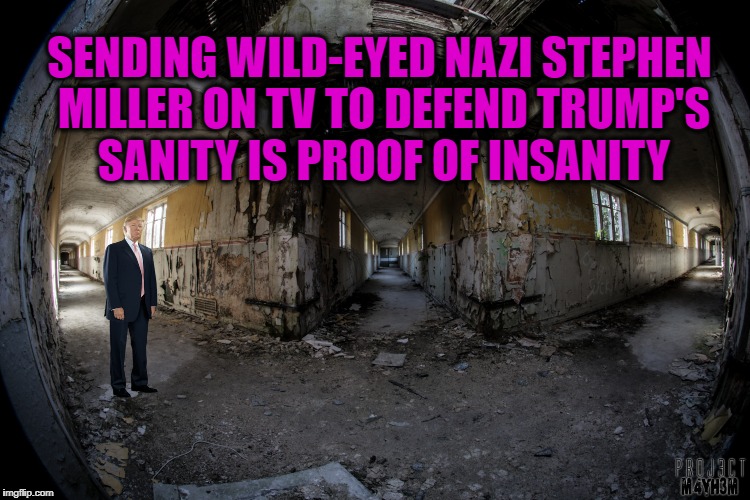 Insanity Defending Insanity | SENDING WILD-EYED NAZI STEPHEN MILLER ON TV TO DEFEND TRUMP'S SANITY IS PROOF OF INSANITY | image tagged in donald trump,fire and fury,trump crazy,trump insane | made w/ Imgflip meme maker