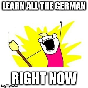 clean all the things | LEARN ALL THE GERMAN; RIGHT NOW | image tagged in clean all the things | made w/ Imgflip meme maker