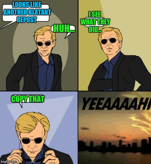 Douchery's Finest | LOOKS LIKE ANOTHER BLATANT REPOST; I SEE WHAT THEY DID... HUH... COPY THAT | image tagged in david caruso | made w/ Imgflip meme maker