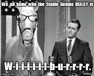 Mister Ed is The Stable Genius | We  all  know  who  the  Stable  Genius  REALLY  is; W-i-i-i-i-i-l-b-u-r-r-r-r. | image tagged in mr ed,mister ed,stable genius | made w/ Imgflip meme maker