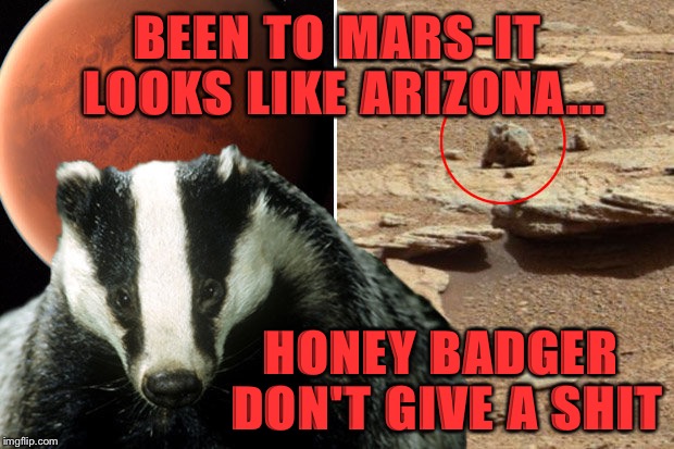 BEEN TO MARS-IT LOOKS LIKE ARIZONA... HONEY BADGER DON'T GIVE A SHIT | made w/ Imgflip meme maker