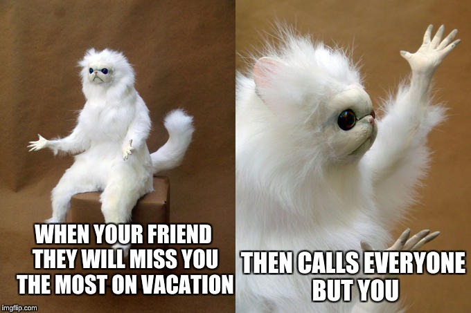 vacation | THEN CALLS EVERYONE BUT YOU; WHEN YOUR FRIEND THEY WILL MISS YOU THE MOST ON VACATION | image tagged in memes,persian cat room guardian | made w/ Imgflip meme maker