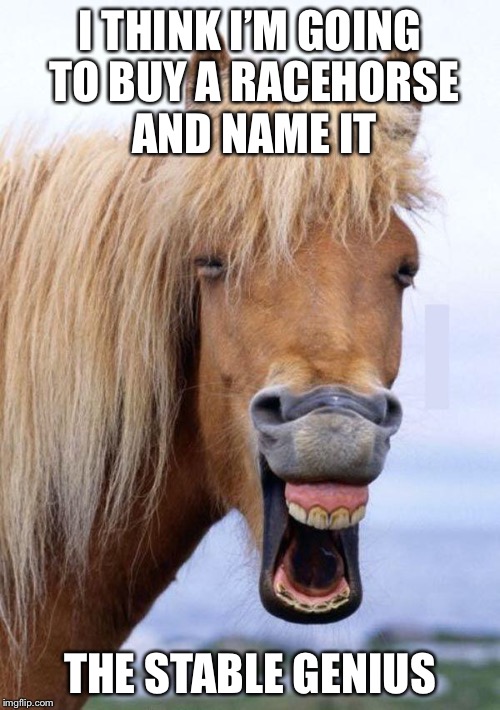 Horse face | I THINK I’M GOING TO BUY A RACEHORSE AND NAME IT; THE STABLE GENIUS | image tagged in horse face,donald trump,stablegenius | made w/ Imgflip meme maker