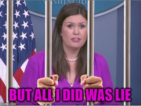 Sarah Hucksterbee:  Paid Professional Liar | BUT ALL I DID WAS LIE | image tagged in sarah huckabee sanders,press secretary,daily press briefings | made w/ Imgflip meme maker