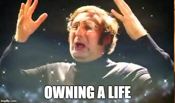 OWNING A LIFE | made w/ Imgflip meme maker
