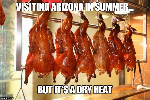 Roast Duck | VISITING ARIZONA IN SUMMER... BUT IT'S A DRY HEAT | image tagged in roast duck | made w/ Imgflip meme maker
