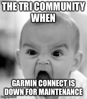 Angry Baby Meme | THE TRI COMMUNITY WHEN; GARMIN CONNECT IS DOWN FOR MAINTENANCE | image tagged in memes,angry baby | made w/ Imgflip meme maker