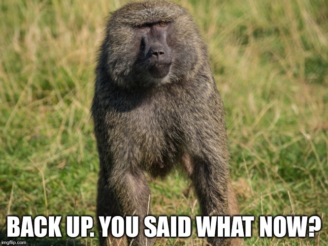 Uneasy Baboon | BACK UP. YOU SAID WHAT NOW? | image tagged in baboon | made w/ Imgflip meme maker