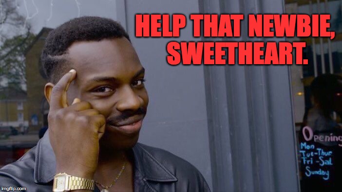 Roll Safe Think About It Meme | HELP THAT NEWBIE, SWEETHEART. | image tagged in memes,roll safe think about it | made w/ Imgflip meme maker