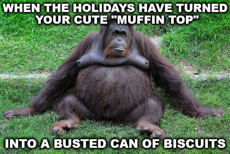 WHEN THE HOLIDAYS HAVE TURNED YOUR CUTE "MUFFIN TOP"; INTO A BUSTED CAN OF BISCUITS | image tagged in ape | made w/ Imgflip meme maker