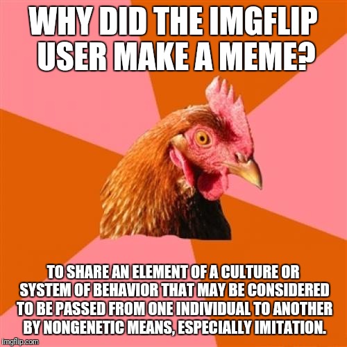 Anti Joke Chicken | WHY DID THE IMGFLIP USER MAKE A MEME? TO SHARE AN ELEMENT OF A CULTURE OR SYSTEM OF BEHAVIOR THAT MAY BE CONSIDERED TO BE PASSED FROM ONE INDIVIDUAL TO ANOTHER BY NONGENETIC MEANS, ESPECIALLY IMITATION. | image tagged in memes,anti joke chicken | made w/ Imgflip meme maker