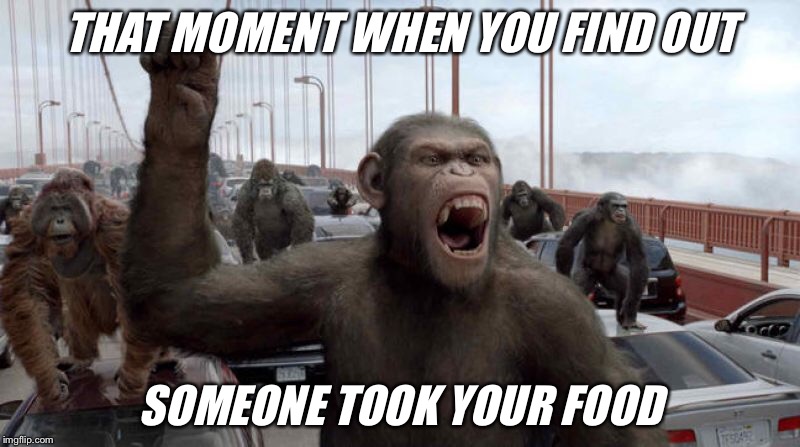 Rise of the Army of the Slighted | THAT MOMENT WHEN YOU FIND OUT; SOMEONE TOOK YOUR FOOD | image tagged in planet of the apes,caesar,don't touch my food | made w/ Imgflip meme maker