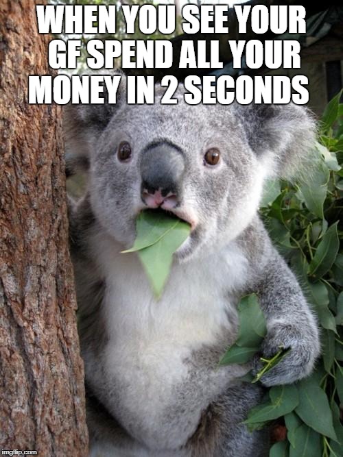Surprised Koala Meme | WHEN YOU SEE YOUR GF SPEND ALL YOUR MONEY IN 2 SECONDS | image tagged in memes,surprised koala | made w/ Imgflip meme maker