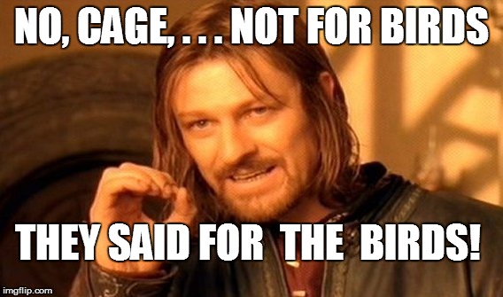 One Does Not Simply Meme | NO, CAGE, . . . NOT FOR BIRDS THEY SAID FOR  THE  BIRDS! | image tagged in memes,one does not simply | made w/ Imgflip meme maker