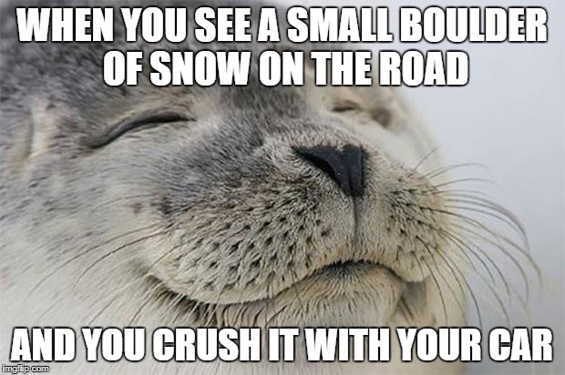 Satisfied Seal Meme | WHEN YOU SEE A SMALL BOULDER OF SNOW ON THE ROAD; AND YOU CRUSH IT WITH YOUR CAR | image tagged in memes,satisfied seal | made w/ Imgflip meme maker