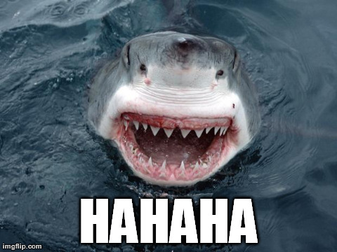 image tagged in sharks,funny,animals | made w/ Imgflip meme maker