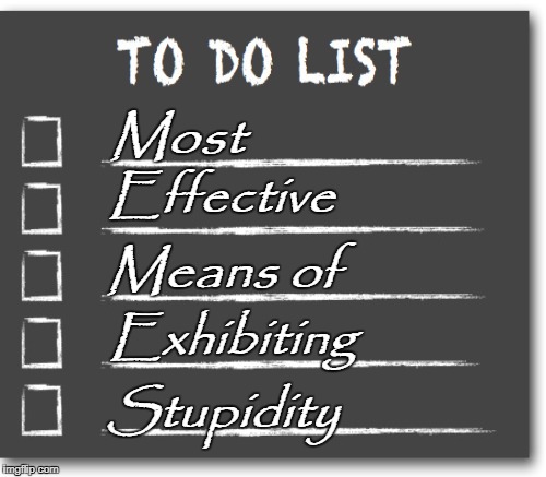 New Year, New Memes | Most Stupidity Effective Exhibiting Means of | image tagged in to do list,list,new year,new me,memes | made w/ Imgflip meme maker