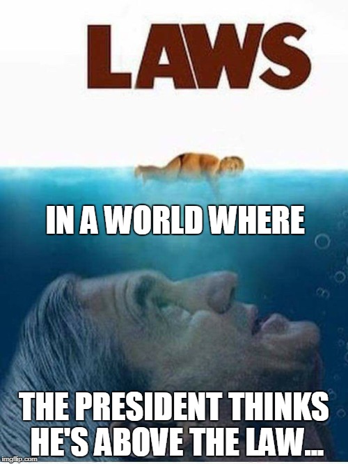 Laws: The Trumpworld Move | IN A WORLD WHERE; THE PRESIDENT THINKS HE'S ABOVE THE LAW... | image tagged in trump,mueller,russian collusion | made w/ Imgflip meme maker