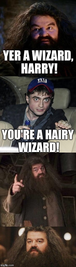 hagrid youre a wizard harry