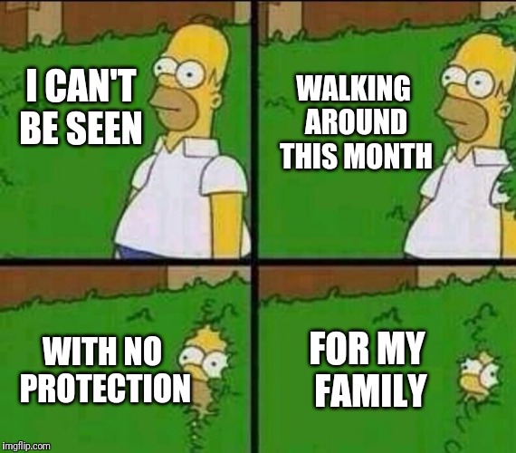 Homer Simpson in Bush - Large | WALKING AROUND THIS MONTH; I CAN'T BE SEEN; WITH NO PROTECTION; FOR MY FAMILY | image tagged in homer simpson in bush - large | made w/ Imgflip meme maker