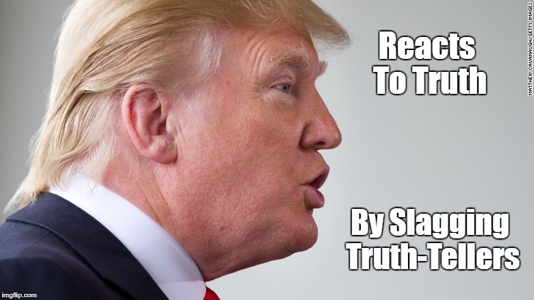 "Trump's Reaction To Truth..." | Reacts To Truth; By Slagging Truth-Tellers | image tagged in deplorable donald,despicable donald,devious donald,deceitful donald,dishonorable donald,dishonest donald | made w/ Imgflip meme maker