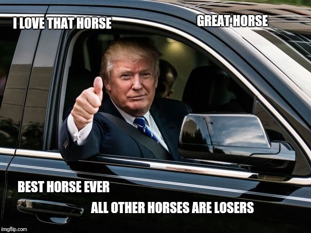 I LOVE THAT HORSE GREAT HORSE BEST HORSE EVER ALL OTHER HORSES ARE LOSERS | made w/ Imgflip meme maker