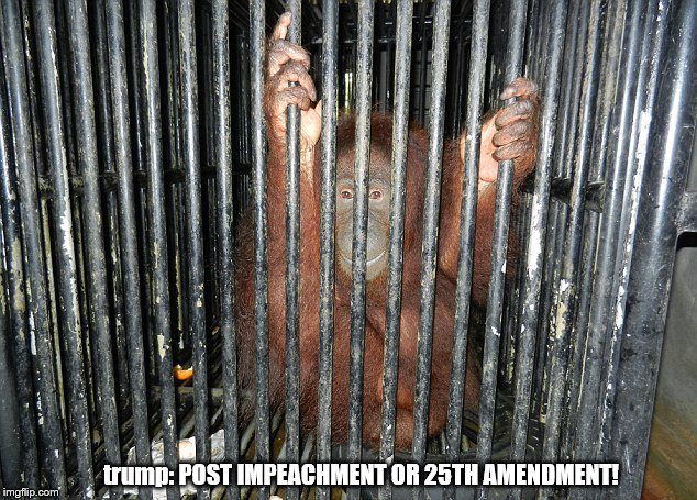 trump waits 4 sentence after Impeachment or 25th Amendment For trump Russia Conspiracy & Money Laundering for oligarch Mobsters! | trump: POST IMPEACHMENT OR 25TH AMENDMENT! | image tagged in impeach trump,25th amendment trump,convict trump,lock him up,lock trump up,criminal in chief | made w/ Imgflip meme maker