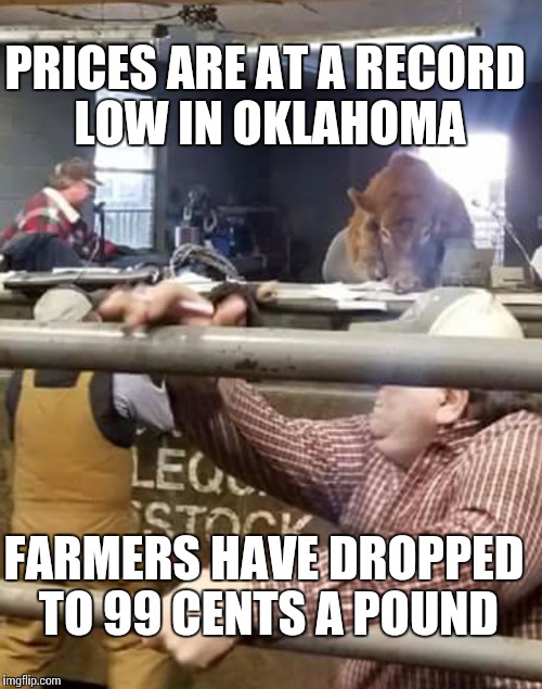 Cow sells farmer |  PRICES ARE AT A RECORD LOW IN OKLAHOMA; FARMERS HAVE DROPPED TO 99 CENTS A POUND | image tagged in auction,oklahoma,beef,imgflip | made w/ Imgflip meme maker