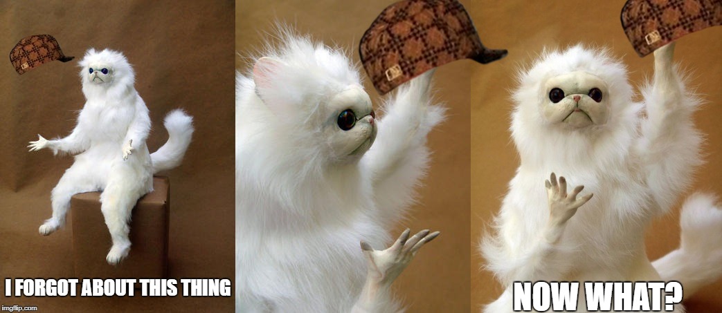 Persian Cat Room Guardian 3 | I FORGOT ABOUT THIS THING NOW WHAT? | image tagged in persian cat room guardian 3,scumbag | made w/ Imgflip meme maker