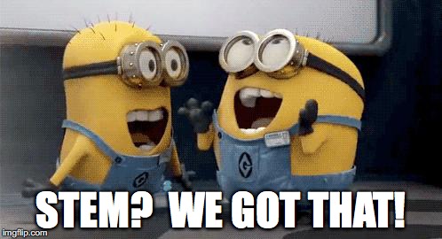 Excited Minions Meme | STEM?  WE GOT THAT! | image tagged in memes,excited minions | made w/ Imgflip meme maker