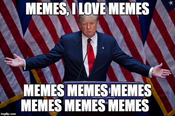 Donald Trump | MEMES, I LOVE MEMES; MEMES MEMES MEMES MEMES
MEMES MEMES | image tagged in donald trump | made w/ Imgflip meme maker