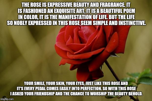 Rose | THE ROSE IS EXPRESSIVE BEAUTY AND FRAGRANCE. IT IS FASHIONED AN EXQUISITE ART, IT IS A BEAUTIFUL POEM IN COLOR, IT IS THE MANIFESTATION OF LIFE. BUT THE LIFE SO NOBLY EXPRESSED IN THIS ROSE SEEM SIMPLE AND INSTINCTIVE. YOUR SMILE, YOUR SKIN, YOUR EYES, JUST LIKE THIS ROSE AND IT'S EVERY PEDAL COMES EASILY INTO PERFECTION. SO WITH THIS ROSE I ASKED YOUR FRIENDSHIP AND THE CHANCE TO WORSHIP THE BEAUTY BEHOLD. | image tagged in rose | made w/ Imgflip meme maker