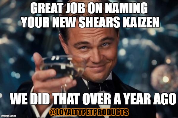 Leonardo Dicaprio Cheers Meme | GREAT JOB ON NAMING YOUR NEW SHEARS KAIZEN; WE DID THAT OVER A YEAR AGO; @LOYALTYPETPRODUCTS | image tagged in memes,leonardo dicaprio cheers | made w/ Imgflip meme maker
