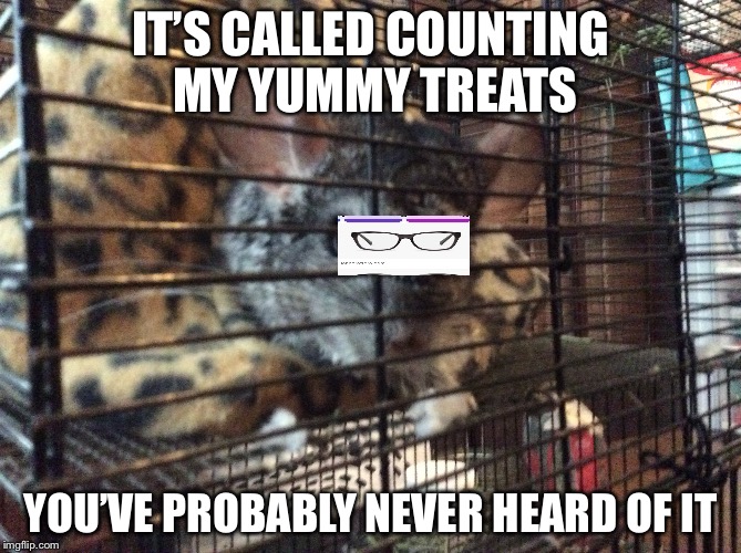 My pet chinchilla | IT’S CALLED COUNTING MY YUMMY TREATS; YOU’VE PROBABLY NEVER HEARD OF IT | image tagged in geek week | made w/ Imgflip meme maker