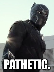 He doesn’t approve | PATHETIC. | image tagged in pathetic,black panther,captain america civil war | made w/ Imgflip meme maker