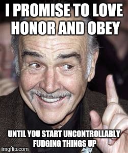 I'd hit that! | I PROMISE TO LOVE HONOR AND OBEY UNTIL YOU START UNCONTROLLABLY FUDGING THINGS UP | image tagged in i'd hit that | made w/ Imgflip meme maker