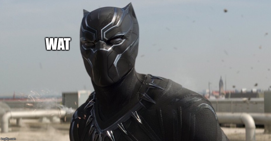 Say what now? | WAT | image tagged in black panther,wat | made w/ Imgflip meme maker